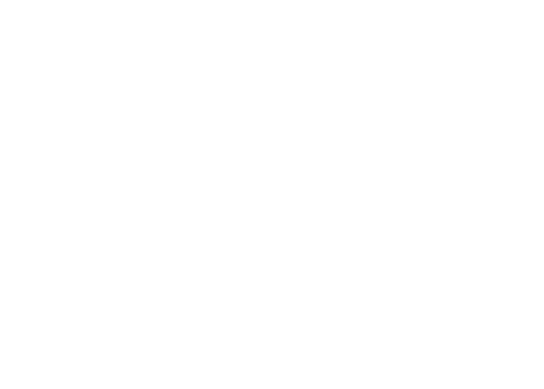 Tom Wolf CPA logo